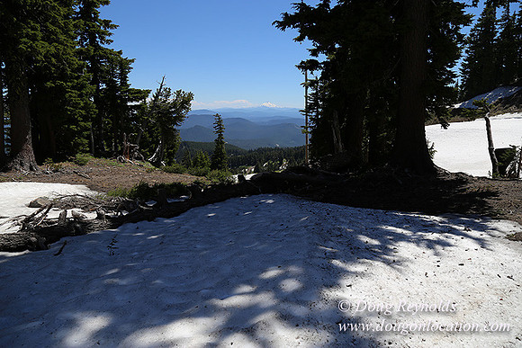 Medow's Snow-5718
