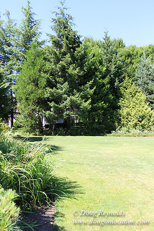 Jim’s Home Large beautiful traditional 2 story with large rooms. Modern kitchen and great room, and nook, large master suite, large entry with French doors. Well maintained grounds and garden, with la