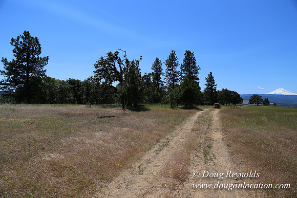 Brothers Ranch-8471
