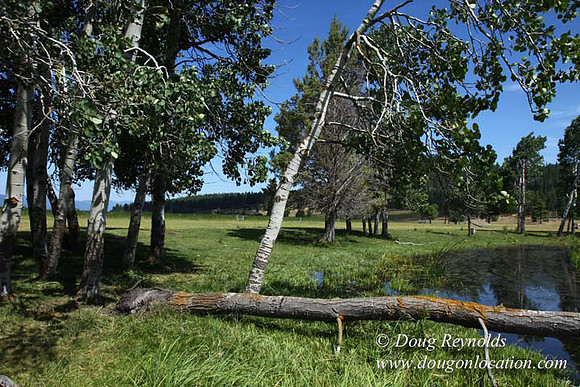 2500 Acres of green fields Creeks water crossing Bridges on a Large Lake and miles of Dirt roads Oak trees Forest land ATV Trails cows