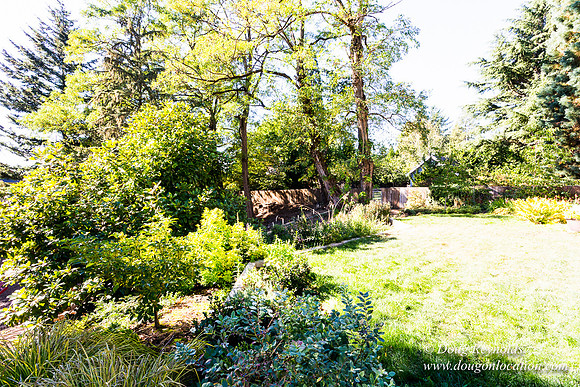 Jenx Back Yard