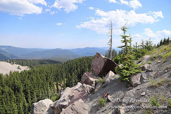 Timberline East rock-6811