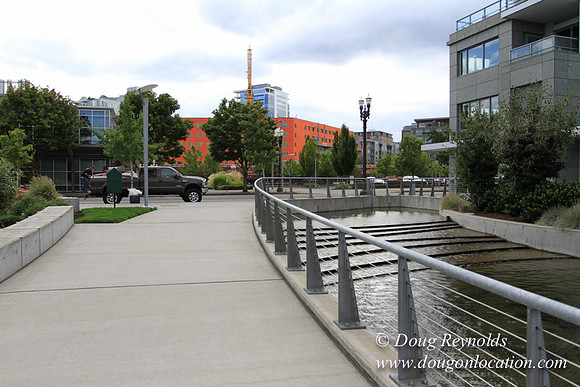 NW Waterfront-2910