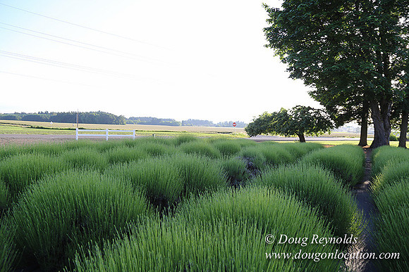 Toms Rd Side-6380