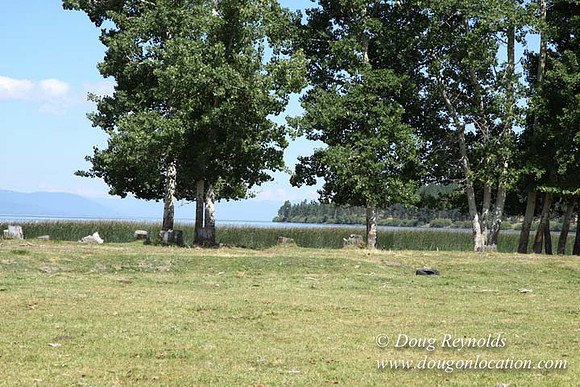 2500 Acres of green fields Creeks water crossing Bridges on a Large Lake and miles of Dirt roads Oak trees Forest land ATV Trails cows