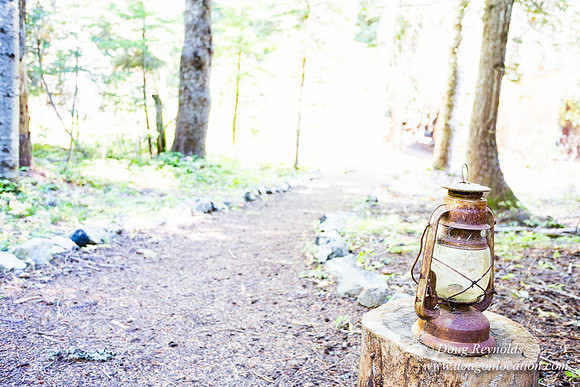 Karri's Cabin