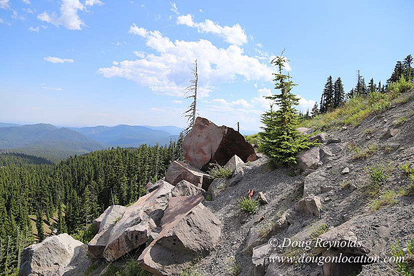 Timberline East rock-6800