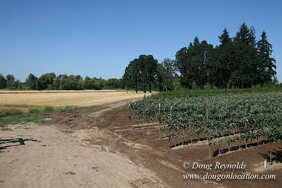 Farm 4 has Barns Shops they grow Wheat and Corn.  in the Portland Zone