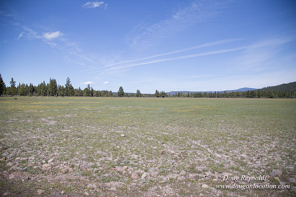 Ranch 18
