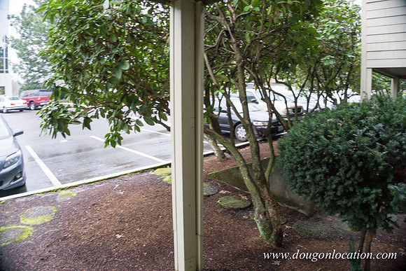 Georgetown Manor- 2474