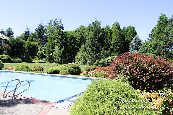 Jim’s Home Large beautiful traditional 2 story with large rooms. Modern kitchen and great room, and nook, large master suite, large entry with French doors. Well maintained grounds and garden, with la