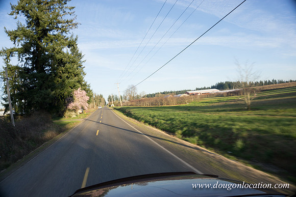 Kelso Rd W Driving E-4080