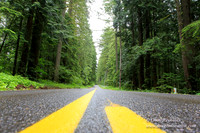 Larch Mt Rd