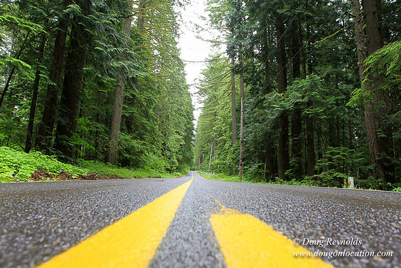Larch Mt Rd