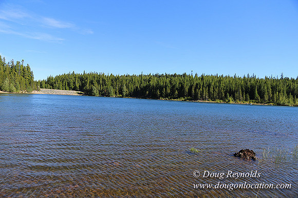 Clear Lake-3514