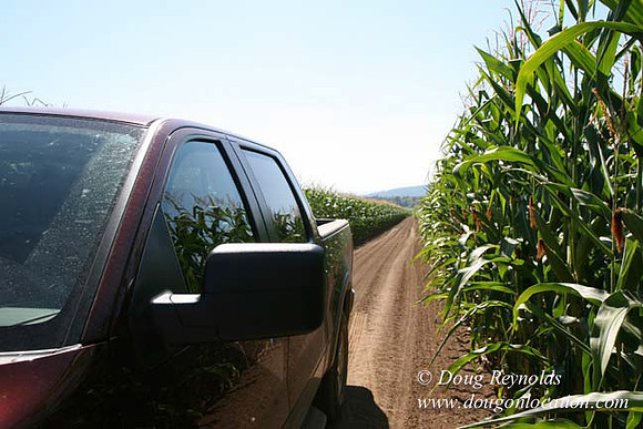 Farm 4 has Barns Shops they grow Wheat and Corn.  in the Portland Zone