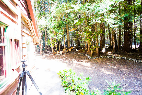 Karri's Cabin