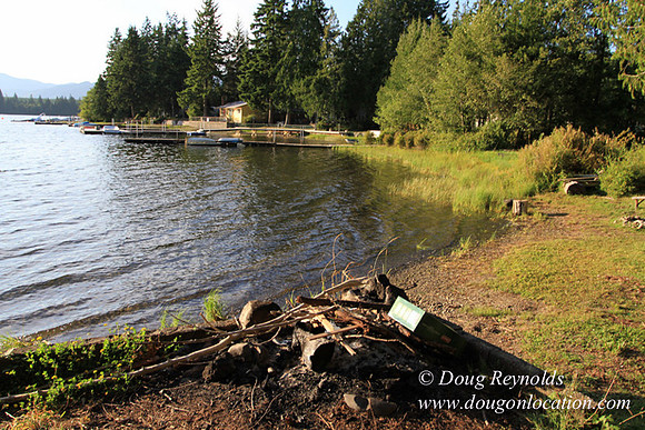 Boat, Cabin, Dock, Home, "House lake", WA, Washington, Yard, deck, "green. Beach" Vacation