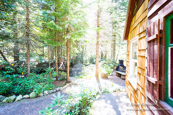 Karri's Cabin