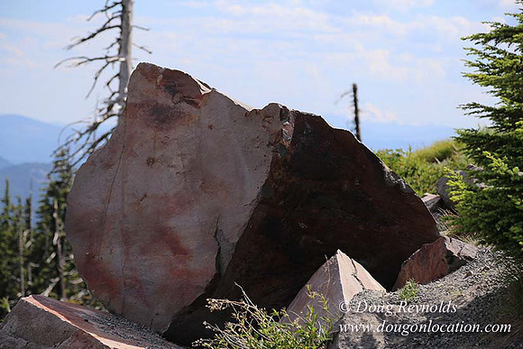 Timberline East rock-6801