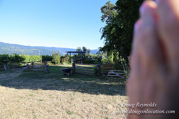 Patricks Farm Well maintained property, Lots of flowers Old Barn Farm House fruit trees Berries, Goats, Chicken’s, Turkey,