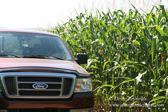 Farm 4 has Barns Shops they grow Wheat and Corn.  in the Portland Zone