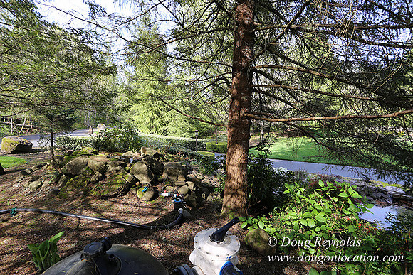 Brians Pond & Drive-9923