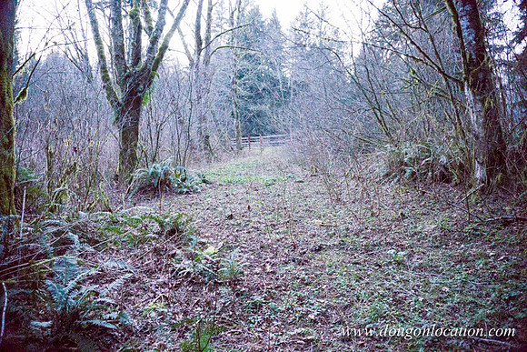 Adams Farm-3115