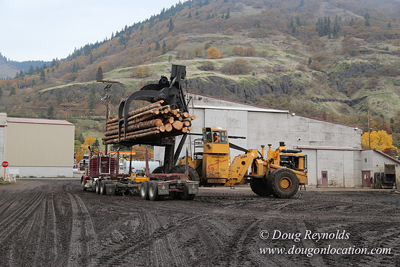 SDS Lumber-1474