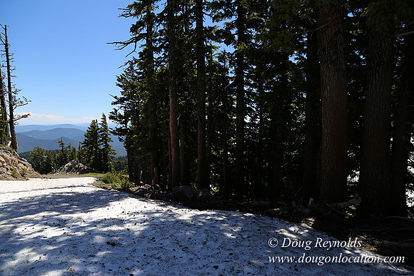 Medow's Snow-5677