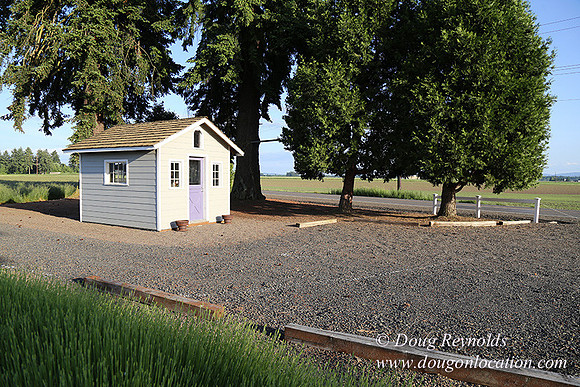 Toms Rd Side-6368