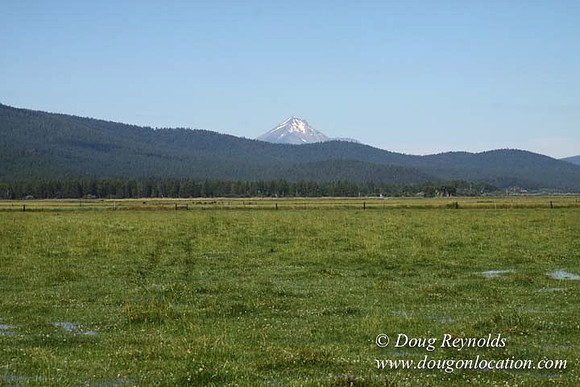 2500 Acres of green fields Creeks water crossing Bridges on a Large Lake and miles of Dirt roads Oak trees Forest land ATV Trails cows