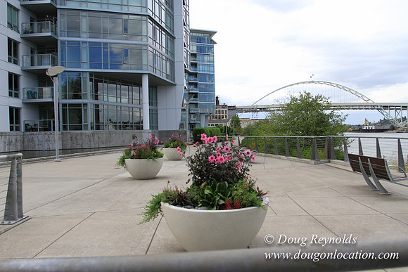 NW Waterfront-2915