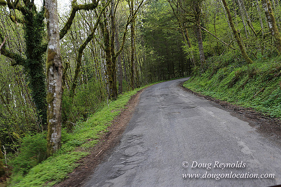 Brians Rd to the Gate-0302