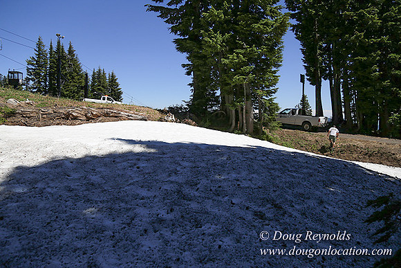 Medow's Snow-5655