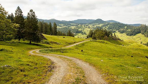Ranch Road