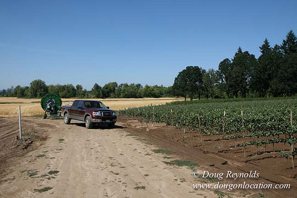 Farm 4 has Barns Shops they grow Wheat and Corn.  in the Portland Zone