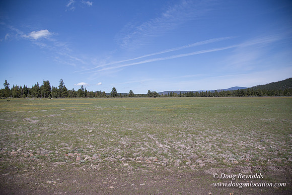 Ranch 18