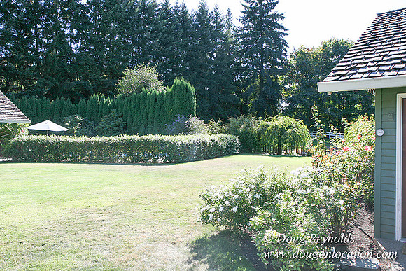 Glinna’s Home Traditional Style County Ranch home, large kitchen great room, 2 car garage on Acreage with large back yard, large front yard, garden, pool, patio, 2 story shop with office,  PDX Zone
