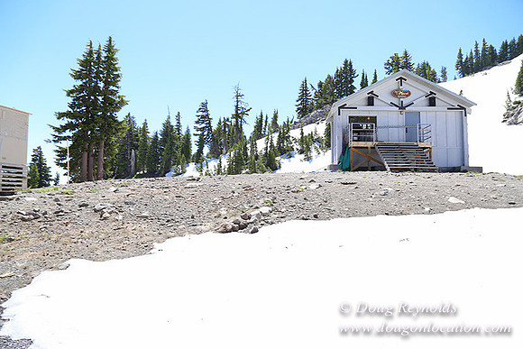 Medow's Snow-5699
