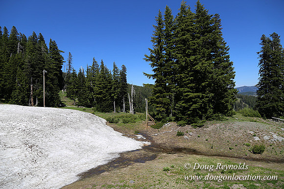 Medow's Snow-5775