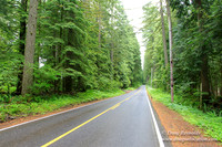 Larch Mt Rd
