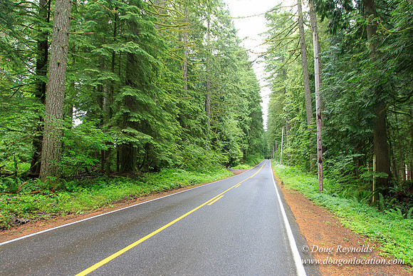 Larch Mt Rd