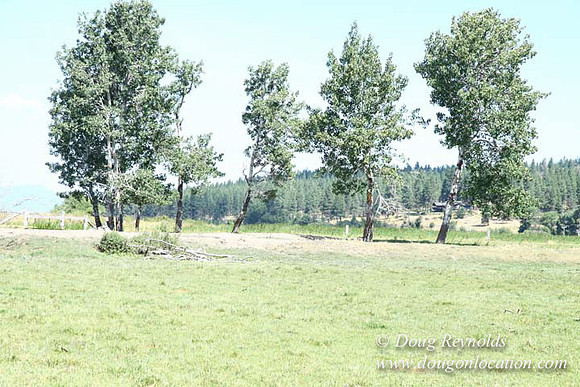 2500 Acres of green fields Creeks water crossing Bridges on a Large Lake and miles of Dirt roads Oak trees Forest land ATV Trails cows