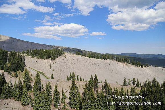 Timberline East rock-6795