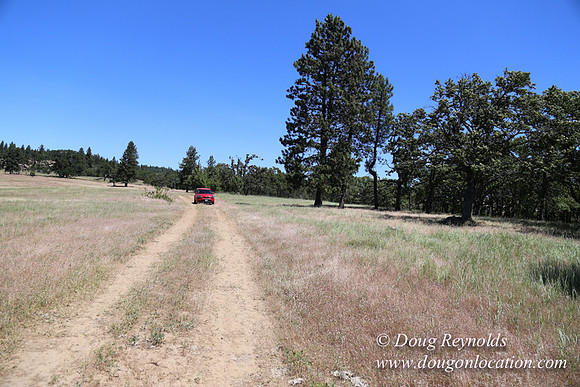 Brothers Ranch-8487