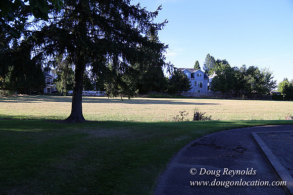 Lincoln Park-0635