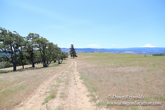 Brothers Ranch-8493
