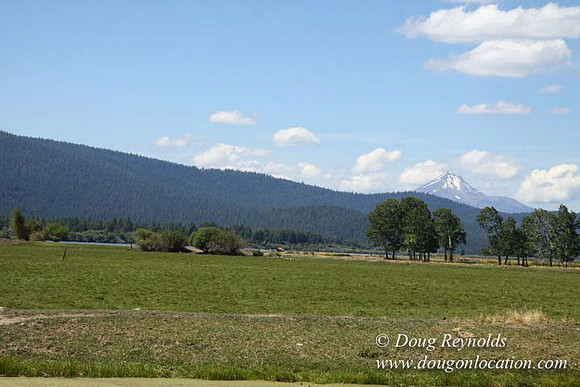 2500 Acres of green fields Creeks water crossing Bridges on a Large Lake and miles of Dirt roads Oak trees Forest land ATV Trails cows