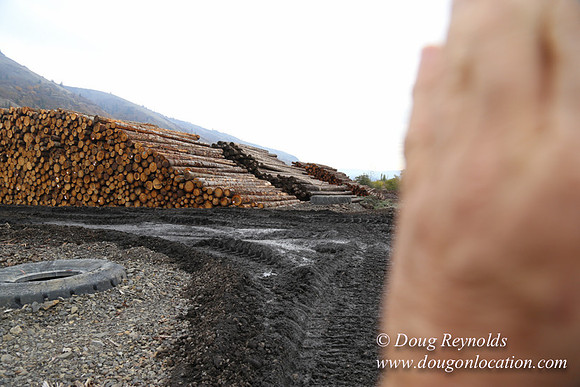 SDS Lumber-1432